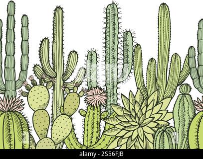 Horizontal seamless pattern with illustrations of wild cactuses. Cactus floral mexican, drawing plant vector exotic. Horizontal seamless pattern with illustrations of wild cactuses Stock Vector