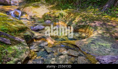 A waterfall cascade with clear river water in rainforest along Liffey river, Liffey Forest Reserve, Tasmania, Australia Stock Photo