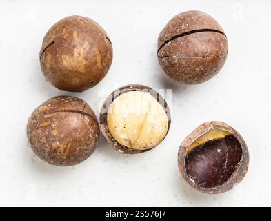 few sawn and shelled macadamia nuts close up on gray ceramic plate Stock Photo