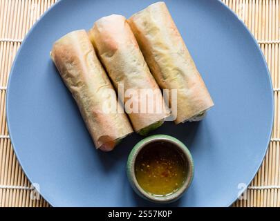 top view of wrapped Nem Cuon, Vietnamese fresh spring rolls on gray blue plate Stock Photo