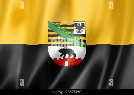 saxony-anhalt-state-flag-germany-waving-banner-collection-3d