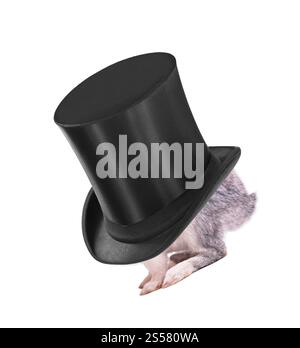 Little bunny in a hat isolated Stock Photo