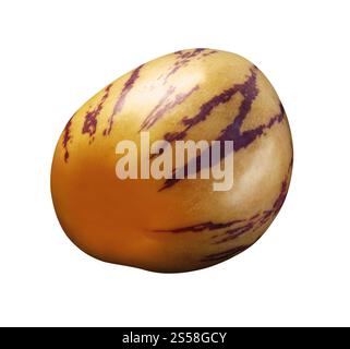 pepino melon fruit isolated Stock Photo