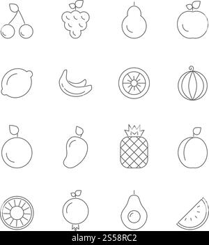 Various icons of fruits. Vegan symbols isolate on white. Vector linear illustrations. Fruit line outline, food natural vitamin. Various icons of fruits. Vegan symbols isolate on white. Vector linear illustrations Stock Vector