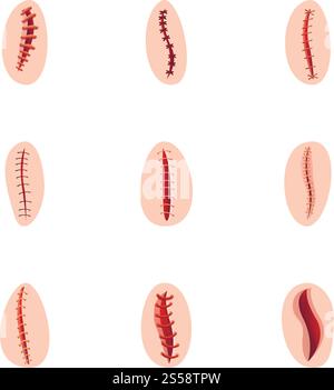 Suture icon set. Cartoon set of 9 suture vector icons for web design isolated on white background. Suture icon set, cartoon style Stock Vector