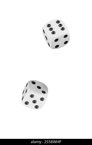two white dices on white background. two white dices Stock Photo