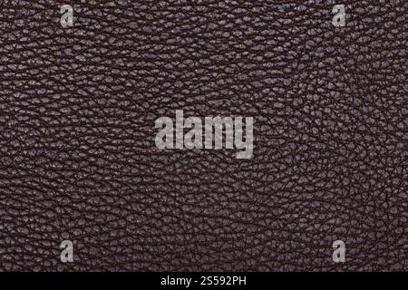 Natural qualitative brown leather texture. Close up. Natural qualitative brown leather texture Stock Photo