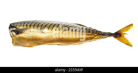 cold-smoked headless mackerel isolated on white background Stock Photo