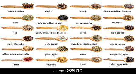 set of various spices in wooden spoon with names isolated on white backgrouns Stock Photo