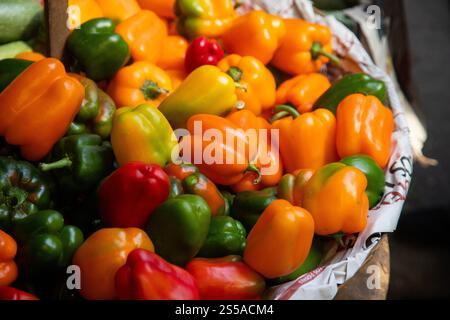 Fresh colorful chili peppers selling at Central Abastos market in Oaxaca, Mexico. Stock Photo