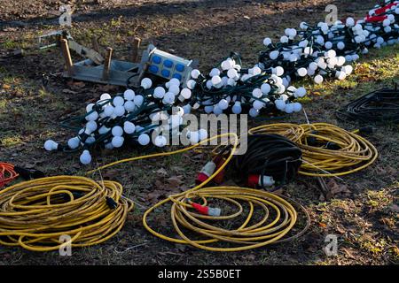 Numerous strings of decorative lights and extension cords lay on the ground in a park setting, indicating preparations for an outdoor event during daylight hours. Stock Photo