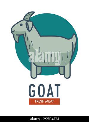 Goat fresh meat promotional emblem with domestic animal. Horned mammal with long fur on advertisement logotype with sign underneath isolated cartoon flat vector illustration on white background.. Goat fresh meat promotional emblem with domestic animal Stock Vector