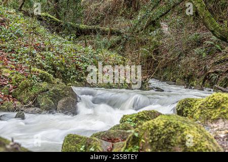 River Barn flowing through  the nTregargus Valley heritage industrial area in Cornwall, UK Stock Photo