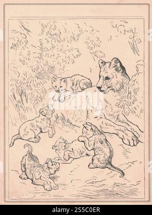 Black and white antique illustration shows a lion's family. Vintage drawing shows the female lion and its cubs. Old picture from fairy tale book Stock Photo