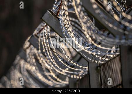 Symbolic image of security, S-wire coils, NATO wire, on a fence crown, demarcation of a property, prevention of unauthorised access, strip steel wire Stock Photo