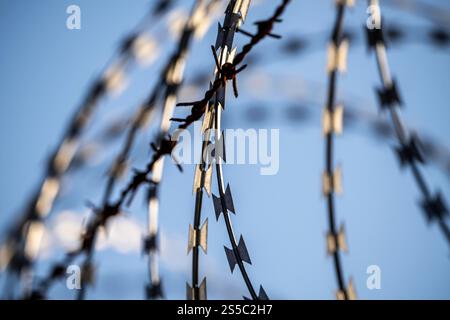 Symbolic image of security, S-wire coils, NATO wire, on a fence crown, demarcation of a property, prevention of unauthorised access, strip steel wire Stock Photo