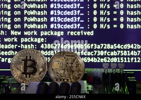 Two bitcoins lies on a videocard surface with background of screen display of cryptocurrency mining by using the GPUs Stock Photo