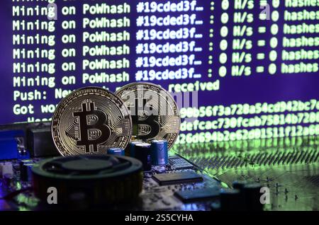 Two bitcoins lies on a videocard surface with background of screen display of cryptocurrency mining by using the GPUs Stock Photo