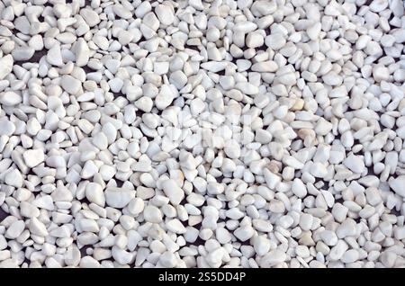 A lot of round and oval stones of white color lie on the ground in the garden Stock Photo