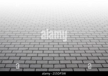 Photo of the site from the old paving slab with small defects and cracks, leaving in perspective. Street coverage of pedestrian areas and paths in Stock Photo