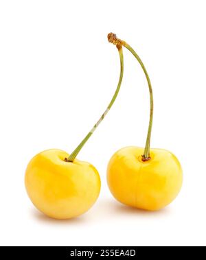 yellow cherry path isolated on white Stock Photo