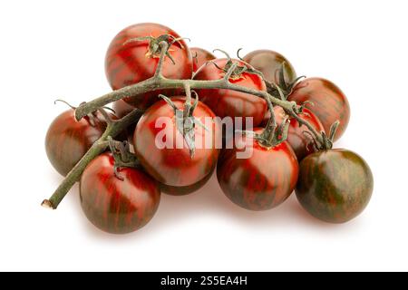 kumato cherry tomato branch path isolated on white Stock Photo