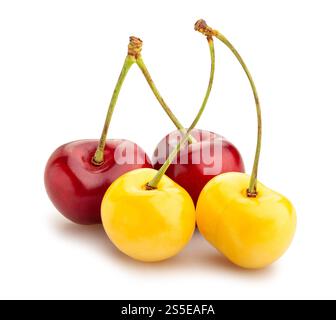 yellow red cherry mix path isolated on white Stock Photo