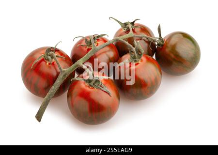 kumato cherry tomato branch path isolated on white Stock Photo