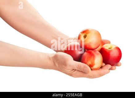 white nectarine in hand path isolated on white Stock Photo