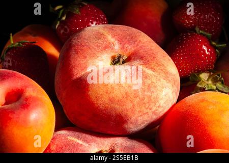flat peach on black background Stock Photo