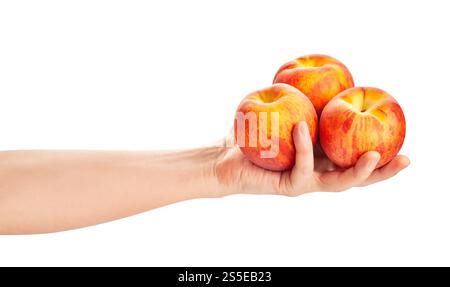 peach in hand path isolated on white Stock Photo