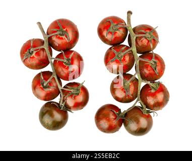 kumato cherry tomato branch path isolated on white top view Stock Photo