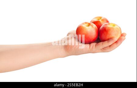 white nectarine in hand path isolated on white Stock Photo