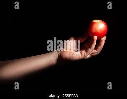 white nectarine in hand on black background Stock Photo