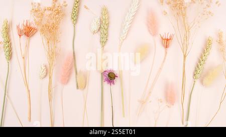 pink pastel background with natural dried flowers and spikelets Stock Photo