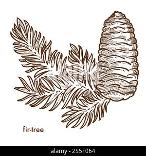 Firtree branch and cone composition, plant isolated icon vector. Christmas holidays symbol and decoration in winter season. Natural decor, botanic biodiversity with foliage of forests and woods. Firtree branch and cone composition, plant isolated icon Stock Vector