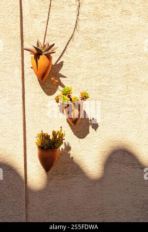 vessels on the wall with cactus plants, Arles, France Stock Photo