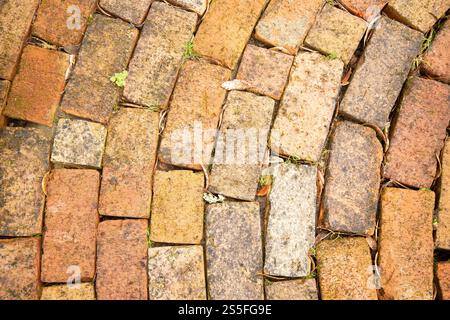 Weathered brick pavement with varying shades of brown and patches of green moss, Auckland, New Zealand Stock Photo