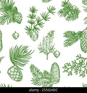 Pine branches of trees and cones seamless pattern isolated on white background vector. Evergreen natural plants and shrubs, twigs with needles, Christmas symbolic vegetation, spruce and fir. Pine branches of trees and cones seamless pattern Stock Vector