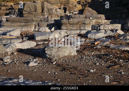 A rocky cove on the coastline at Ogmore by sea showing large amounts of plants driftwood and rubbish washed ashore by a storm. Stock Photo