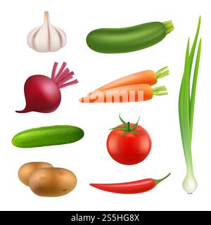 Fresh vegetables products. Healthy vegan agriculture food potato carrot cooking ingredients vector isolated realistic illustrations. Fresh harvest potato and raw food. Fresh vegetables products. Healthy vegan agriculture food potato carrot cooking ingredients vector isolated realistic illustrations Stock Vector