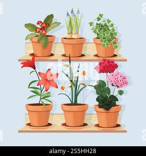 Flowers at shelves. Decorative tree plants grow in pots and standing in home interior at wooden shelves vector cartoon pictures. Flower pot blossom, plant gardening, flowerpot houseplant illustration. Flowers at shelves. Decorative tree plants grow in pots and standing in home interior at wooden shelves vector cartoon pictures Stock Vector