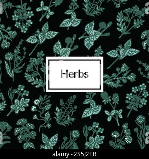 Vector hand drawn medical herbs background or pattern with place for text illustration. Vector hand drawn medical herbs background illustration Stock Vector