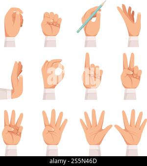 Hands gesture. Human palm and fingers touch showing pointing and holding taking vector cartoon collection isolated. Gesturing palm hand gesture, fingers number collection. Hands gesture. Human palm and fingers touch showing pointing and holding taking vector cartoon collection isolated Stock Vector