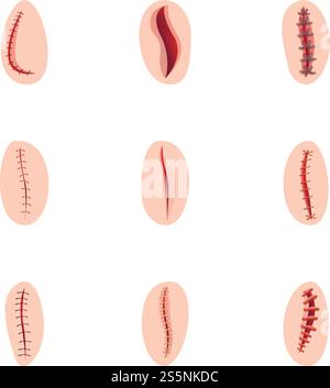 Medical suture icon set. Cartoon set of 9 medical suture vector icons for web design isolated on white background. Medical suture icon set, cartoon style Stock Vector