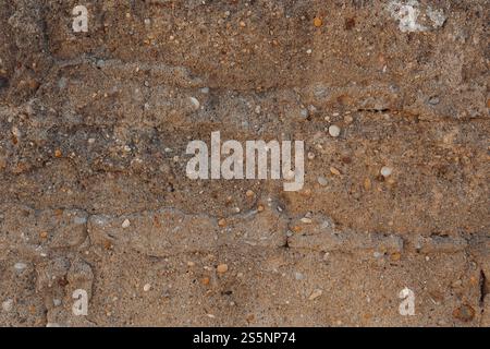 Close-up of a textured sandstone surface with embedded pebbles, showcasing natural patterns and earthy tones. Perfect for backgrounds Stock Photo