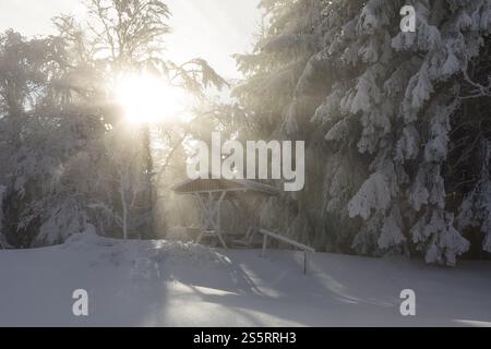 Sun shining through the trees covered in thick hoarfrost onto the snow-covered picnic area on the Auersberg, Eibenstock, Erzgebirge, Saxony, Germany, Stock Photo