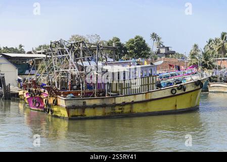 Fort Kochi, Kochi, Kerala, South India, India, Asia, Large cargo boats in a quiet harbour in front of palm trees, Asia Stock Photo