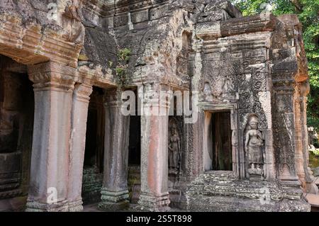 Ta Prohm temple, part of the Angkor Wat complex, Seam Reap, Cambodia Stock Photo