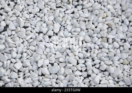 A lot of round and oval stones of white color lie on the ground in the garden Stock Photo